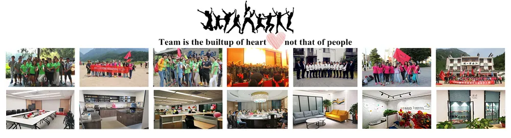 1/6copolymer of Vinyl Chloride and Vinyl Isobutyl Ether CMP45