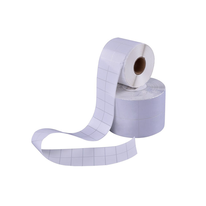 Can You Use Thermal Transfer Labels in Freezer or Cold Storage Environments