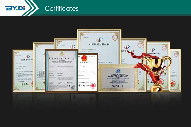 China Factory Boyin 100 Percent Silk Printing Solution Fabric Digital Textile Silk Clothes Printing Machine with Kyocera Print Head (XC09-16)