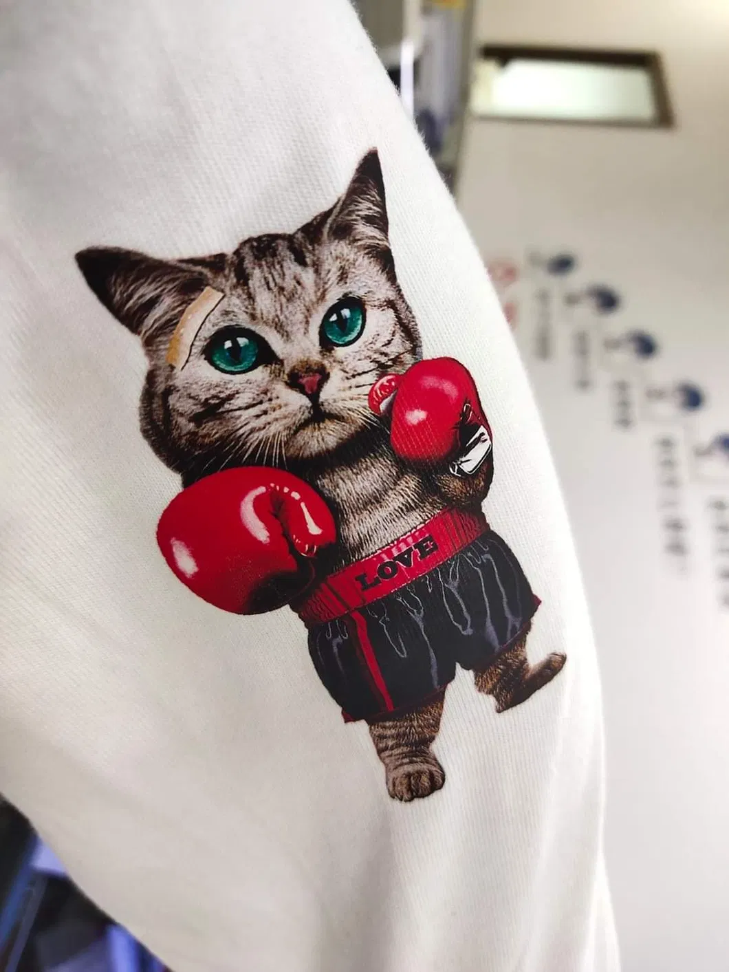 Direct to Film Printing Machine Cmyk Heat Press