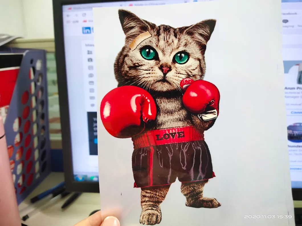 Factroy Direct Sale Dtf Water Based White Inks with No Crack and Super Elastic