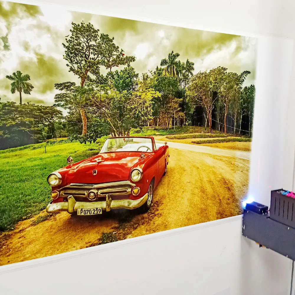 Hjz Outside 3D Mural Decor Vertical Zeescape Direct to Wall Inkjet Printer Machine