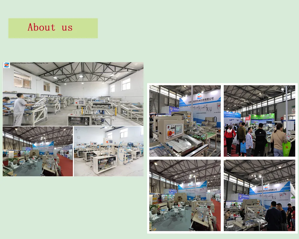 HY-D58 Dust removal Double-sided dust removal automatic screen printing machine