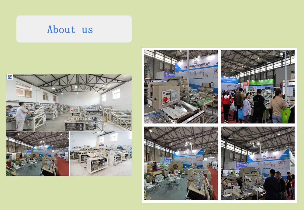 HY-H56 single sheet Flexographic automatic screen printing machine