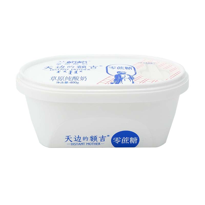 Ice Cream and Yogurt Container