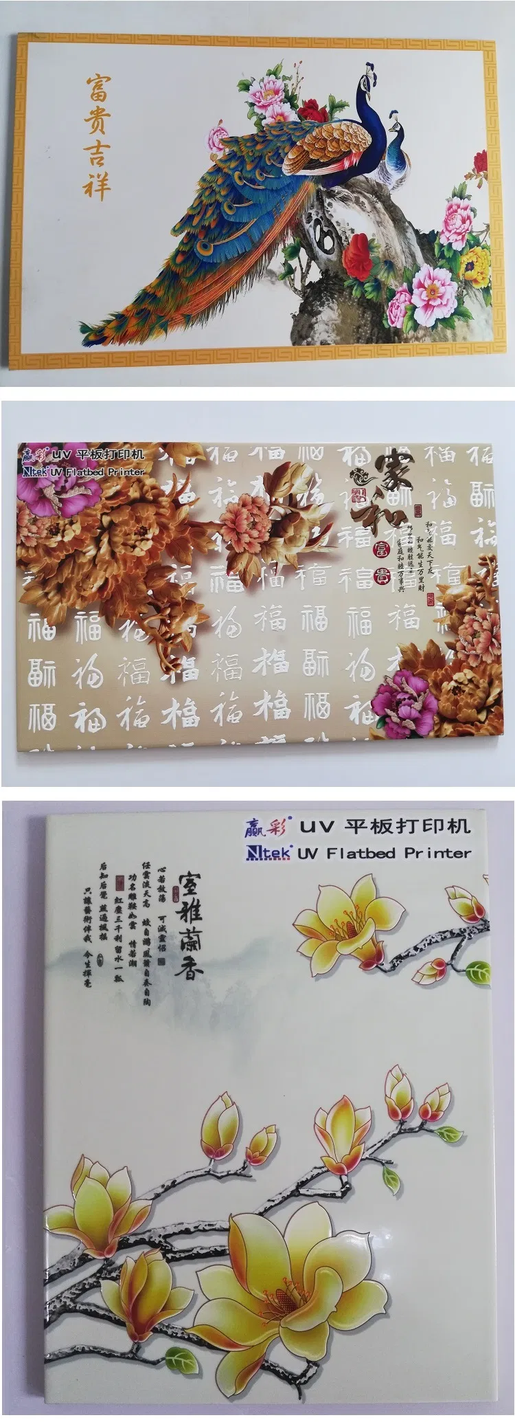 Ntek A1 UV Flatbed Printing Machine Price for Sale Yc6090