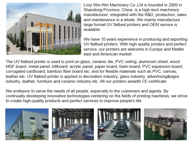 Ntek Toshiba Ce4 Head Digital Flat Printer Yc6090