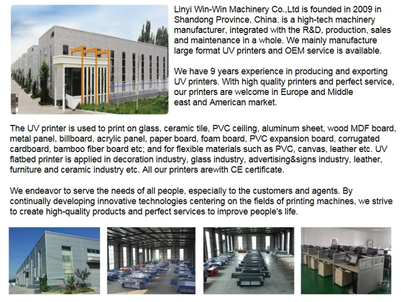 Stable High Speed UV Flatbed Printer for Glass Printing Machine