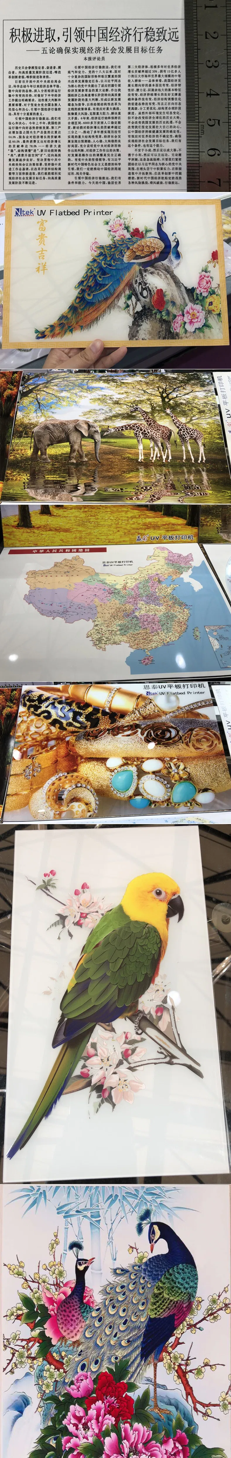 Stable High Speed UV Flatbed Printer for Glass Printing Machine